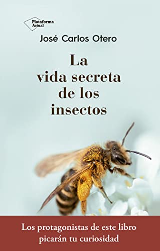 Beispielbild fr La Vida Secreta de Los Insectos zum Verkauf von medimops