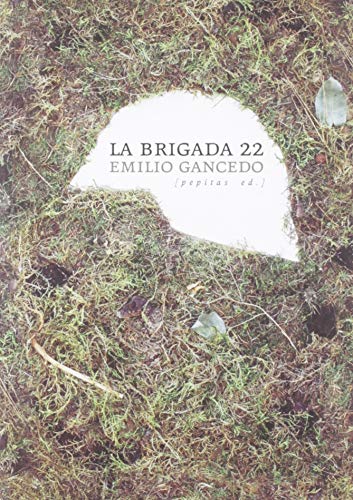 Imagen de archivo de La brigada 22 (Ficcin, Band 35) a la venta por medimops