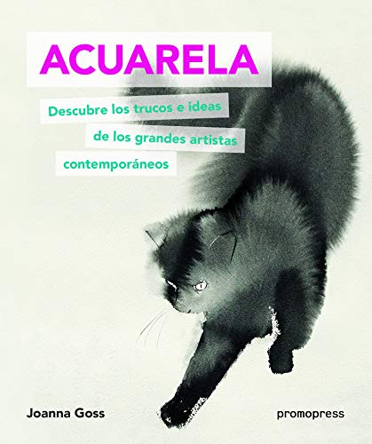 Stock image for ACUARELA DESCUBRE LOS TRUCOS E IDEAS DE LOS GRANDES ARTISTA for sale by Siglo Actual libros