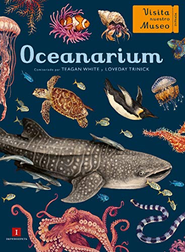 9788417553715: Oceanarium: 35 (EL CHICO AMARILLO)