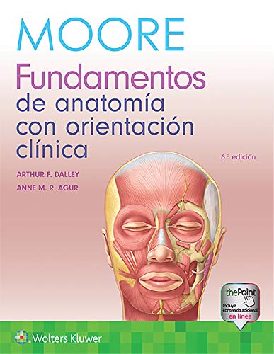 Stock image for Moore. Fundamentos de anatoma con orientacin clnica (Spanish Edition) for sale by Book Deals