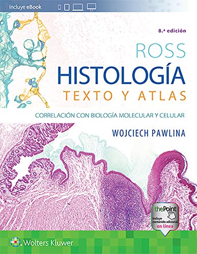 Stock image for Histologa - Texto y atlas/ Histology - Text and Atlas: Correlacin Con Biologa Molecular Y Celular for sale by Revaluation Books