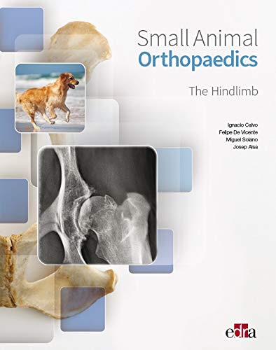 Stock image for Small Animal Orthopaedics - The Hindlimb for sale by Blackwell's