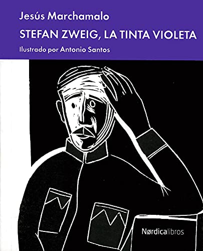 Imagen de archivo de Stefan Zweig a la venta por medimops