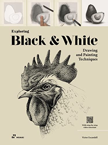 Stock image for Exploring Black & White: Drawing and Painting Techniques for sale by ThriftBooks-Atlanta