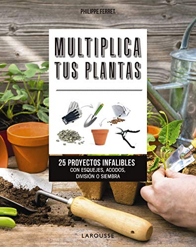Stock image for MULTIPLICA TUS PLANTAS. 25 PROYECTOS INFALIBLES CON ESQUEJES, ACODOS, DIVISIN O SIEMBRA for sale by KALAMO LIBROS, S.L.