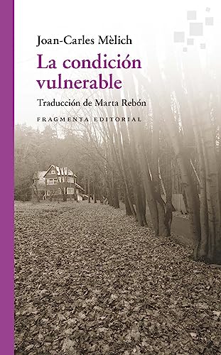 Imagen de archivo de LA CONDICIN VULNERABLE. ENSAYO DE FILOSOFA LITERARIA II a la venta por KALAMO LIBROS, S.L.