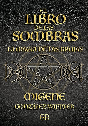 Stock image for LIBRO DE LAS SOMBRAS EL for sale by Serendipity