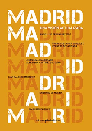 Imagen de archivo de MADRID. UNA VISION ACTUALIZADA a la venta por KALAMO LIBROS, S.L.