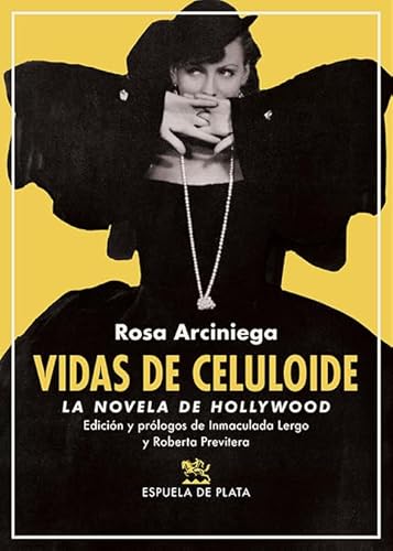 Imagen de archivo de VIDAS DE CELULOIDE: LA NOVELA DE HOLLYWOOD a la venta por KALAMO LIBROS, S.L.