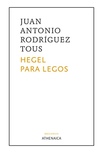 Imagen de archivo de HEGEL PARA LEGOS a la venta por Siglo Actual libros