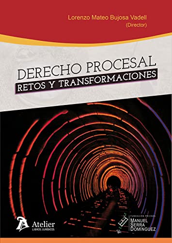 Stock image for Derecho procesal: retos y transformaciones for sale by AG Library