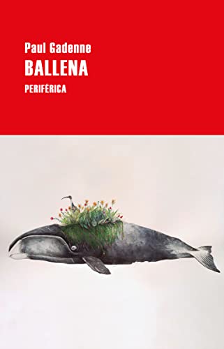 Stock image for Ballena (Spanish Edition) for sale by GF Books, Inc.