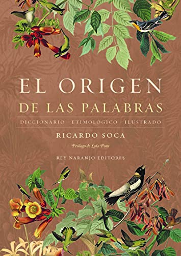 Imagen de archivo de EL ORIGEN DE LAS PALABRAS: DICCIONARIO ETIMOLOGICO ILUSTRADO a la venta por KALAMO LIBROS, S.L.