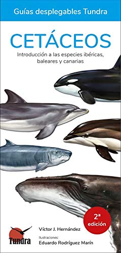 Imagen de archivo de CETACEOS. INTRODUCCION A LAS ESPECIES IBERICAS, BALEARES Y CANARIAS a la venta por KALAMO LIBROS, S.L.