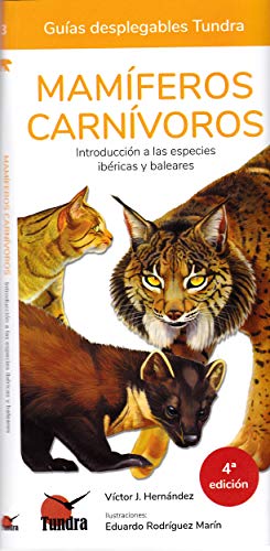 Imagen de archivo de MAMIFEROS CARNIVOROS. INTRODUCCION A LAS ESPECIES IBERICAS Y BALEARES. GUIAS DESPLEGABLES TUNDRA a la venta por KALAMO LIBROS, S.L.