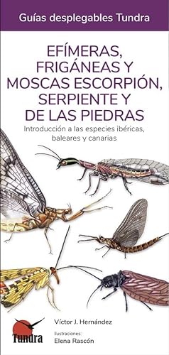 9788418458514: Efimeras, Friganeas y moscas escorpion, serpiente y de las piedras (GUIAS DESPLEGABLES)