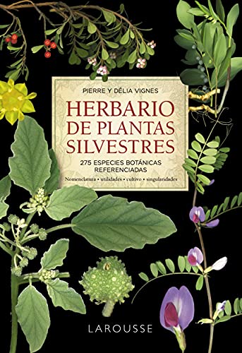 Imagen de archivo de HERBARIO DE PLANTAS SILVESTRES. a la venta por KALAMO LIBROS, S.L.