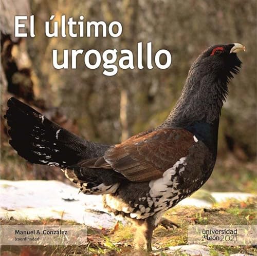 9788418490125: El ltimo urogallo