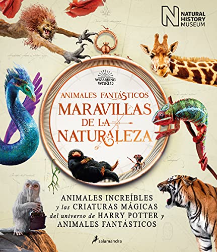 Beispielbild fr Animales Fant?sticos Maravillas de la Naturaleza / Fantastic Animals, Wonders of Nature zum Verkauf von Reuseabook