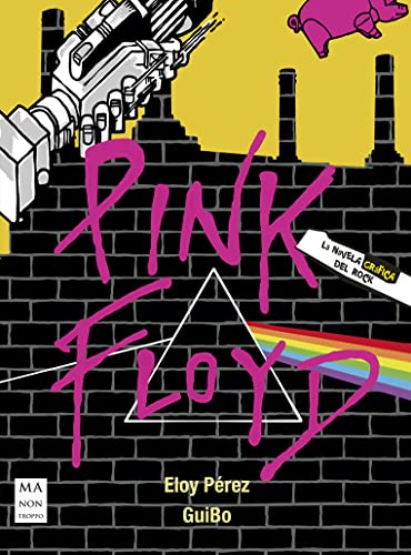 Stock image for PINK FLOYD for sale by AG Library