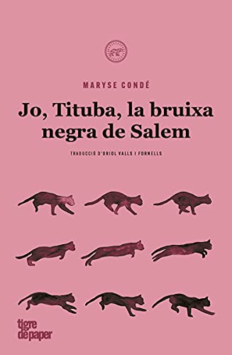 Stock image for Jo, Tituba, bruixa negra de Salem for sale by AG Library