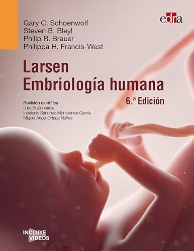 Beispielbild fr LARSEN. EMBRIOLOGA HUMANA, 6. ED. zum Verkauf von Antrtica