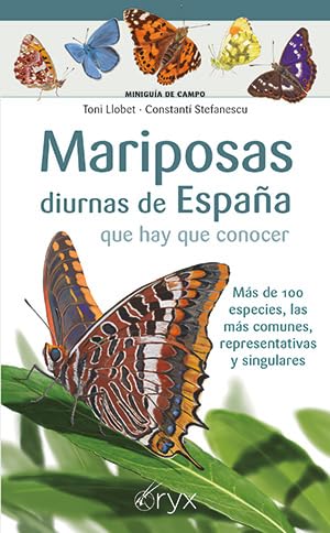 Imagen de archivo de Mariposas diurnas de Espaa que hay que conocer: Ms de 100 especies, las ms comunes, representativas y singulares a la venta por Agapea Libros