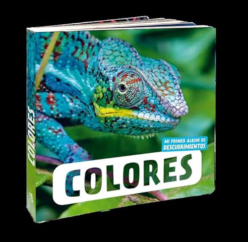 Stock image for COLORES for sale by Hilando Libros