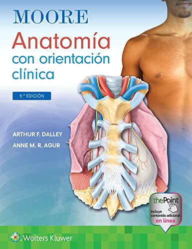 Stock image for Moore. Anatoma con orientacin clnica (Spanish Edition) for sale by Scubibooks