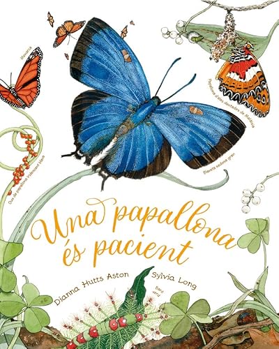 Beispielbild fr Una papallona s pacient zum Verkauf von Agapea Libros