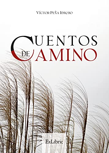 Imagen de archivo de Cuentos de camino (Spanish Edition) a la venta por SecondSale
