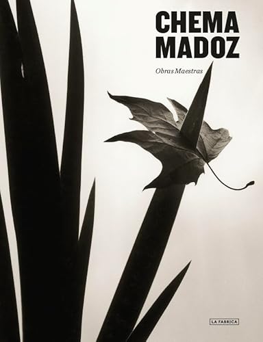 Imagen de archivo de CHEMA MADOZ a la venta por KALAMO LIBROS, S.L.