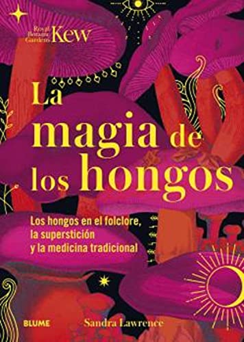 Stock image for LA MAGIA DE LOS HONGOS. LOS HONGOS EN EL FOLCLORE, LA SUPERSTICION Y LA MEDICINA TRADICIONAL for sale by KALAMO LIBROS, S.L.