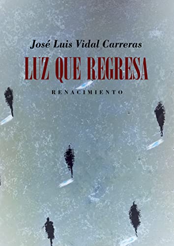 Stock image for LUZ QUE REGRESA for sale by KALAMO LIBROS, S.L.