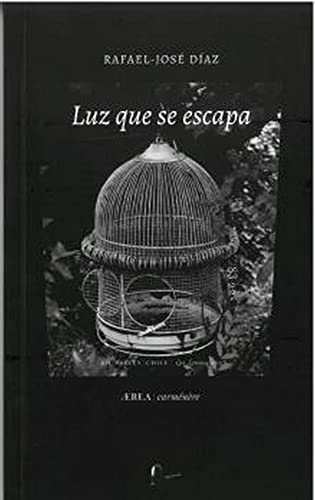 Stock image for LUZ QUE SE ESCAPA for sale by KALAMO LIBROS, S.L.