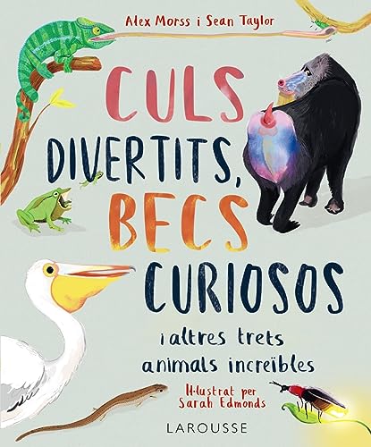 Stock image for CULS DIVERTITS, BECS CURIOSOS. I ALTRES TRETS ANIMALS INCREBLES for sale by KALAMO LIBROS, S.L.