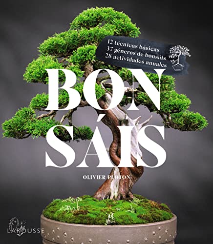 Beispielbild fr Bonsis (LAROUSSE - Libros Ilustrados/ Prcticos - Ocio y naturaleza - Jardinera) zum Verkauf von medimops