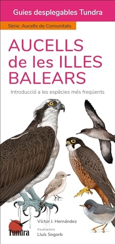 Stock image for AUCELLS DE LES ILLES BALEARS - GUIES DESPLEGABLES TUNDRA. INTRODUCCIO A LES ESPECIES MES FREQENTS for sale by KALAMO LIBROS, S.L.