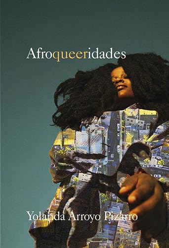 Stock image for AFROQUEERIDADES for sale by KALAMO LIBROS, S.L.