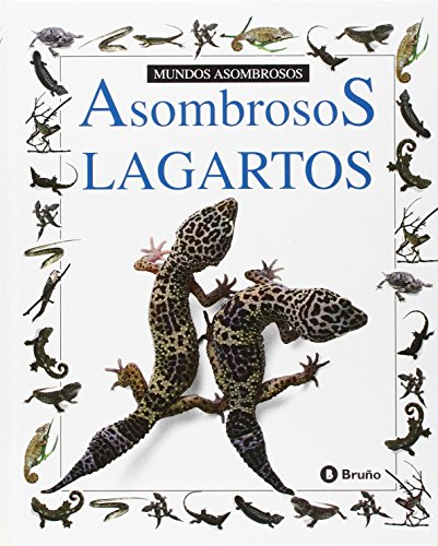 Beispielbild fr Asombrosos lagartos (Mundos Asombrosos) zum Verkauf von medimops