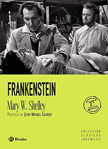 9788421658956: Frankenstein (Castellano - A PARTIR DE 12 AOS - CLSICOS JUVENILES)