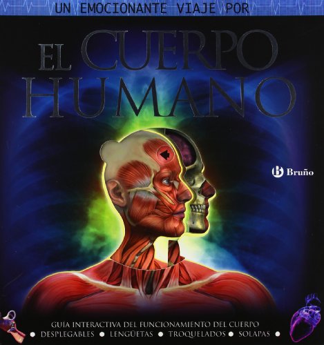 Stock image for El Cuerpo Humano: Gua Interactiva Del Funcionamiento Del Cuerpo for sale by Hamelyn