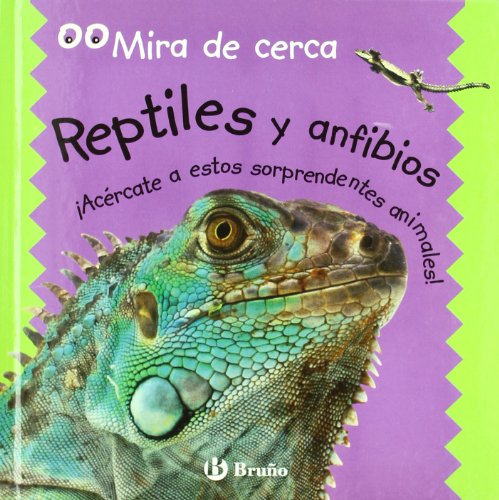 Stock image for Reptiles Y Anfibios/reptiles And AmphMalyan, Sue for sale by Iridium_Books