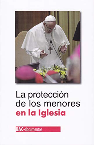 Stock image for PROTECCION DE LOS MENORES EN LA IGLESIA, LA for sale by KALAMO LIBROS, S.L.