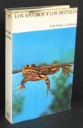 9788423308637: Historia Natural: Los anfibios y los reptiles
