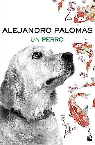 Stock image for Un perro for sale by SecondSale