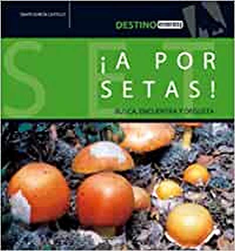 9788424105198: A por setas!: Busca, encuentra y degusta (Destino)