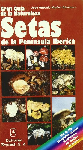 9788424126896: Setas de la Pennsula Ibrica: Cmo reconocer y clasificar los primeros hongos de la Pennsula Ibrica. (Grandes guas de la naturaleza)