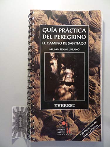 Stock image for Gua prctica del Peregrino: El Camino de Santiago (Guas del viajero) (Spanish Edition) for sale by GF Books, Inc.